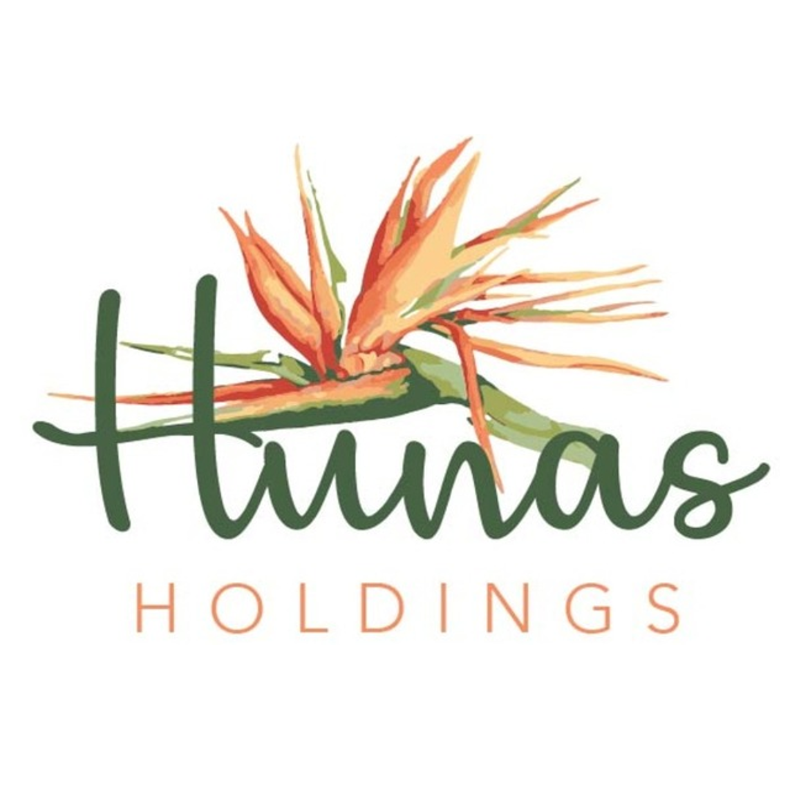 Hunas Holdings PLC