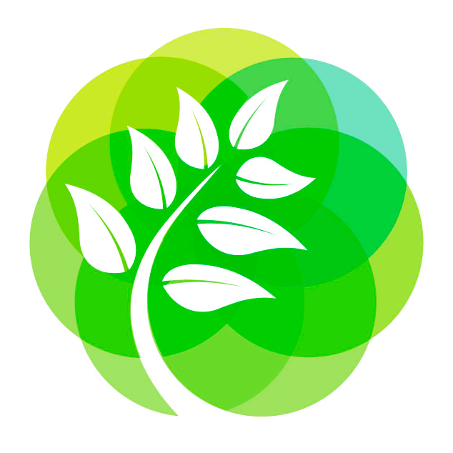 HS Agro Exports ( Pvt) Ltd